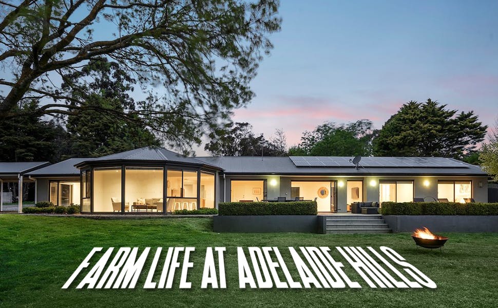 Experience the Best of Farm Life at Adelaide Hills Farm Barn