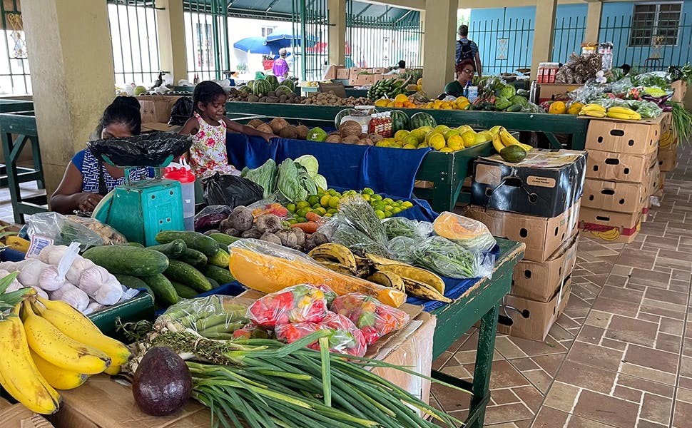 How to find local markets in St. Kitts and Nevis?