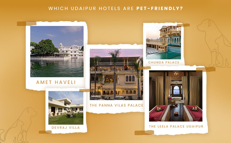 Udaipur hotels are pet-friendly